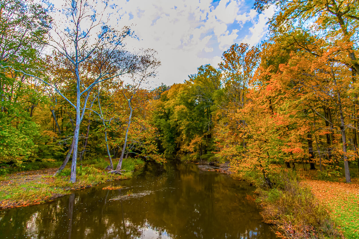 Lake Metro Parks District